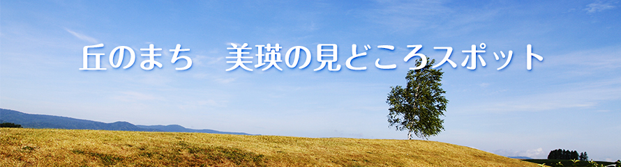 丘のまち 美瑛の見所スポット